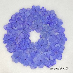 紫陽花　テマリテマリ　詰め合わせ　押し花素材 1枚目の画像