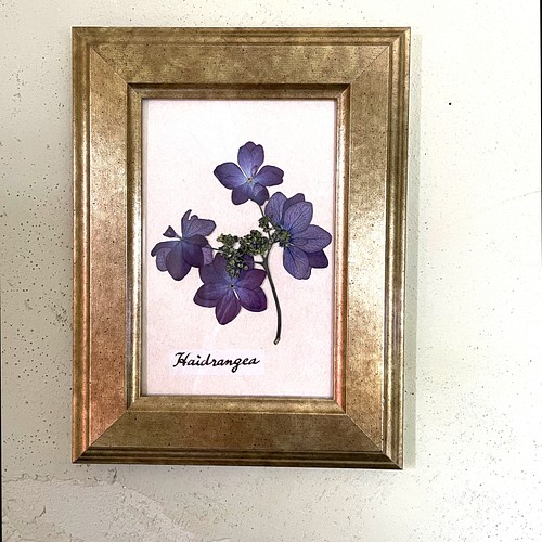 素敵な押し花アート　大きな額縁　お花　木　ボタニカルアート　紫陽花