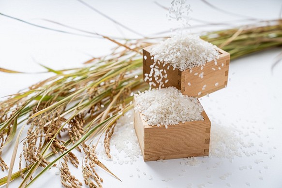 令和４年度精米★長崎県認定特別栽培米にこまる１㎏★宮下さんちのおいしいお米 1枚目の画像