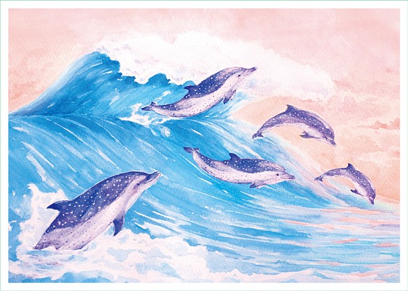 動物與牠們的產地 海豚 熱帶斑海豚 插畫 明信片 第1張的照片