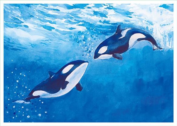 動物とその起源クジラキラークジライラストポストカード カード レター Po Do Art 通販 Creema クリーマ ハンドメイド 手作り クラフト作品の販売サイト