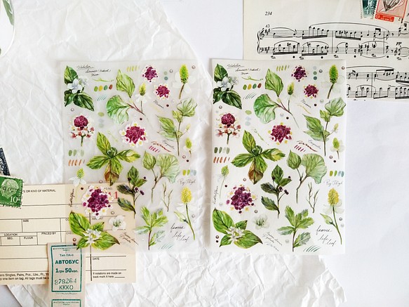 [無色綻放] 植物觀察筆記 裝飾貼紙 復古拼貼 手帳貼紙 第1張的照片