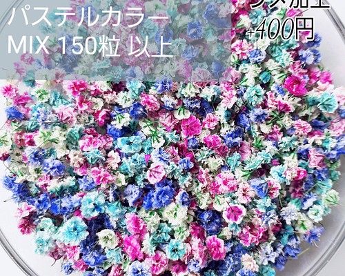 たっぷり 150粒 パステルカラー MIX かすみ草 ドライフラワー レジン