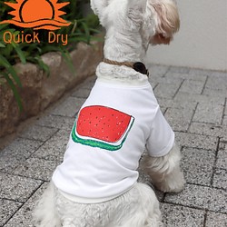 夏用♫ わんちゃん用すいかDRY 袖なしシャツ White 犬 DOG わんこ 接触冷感　熱中症対策 1枚目の画像