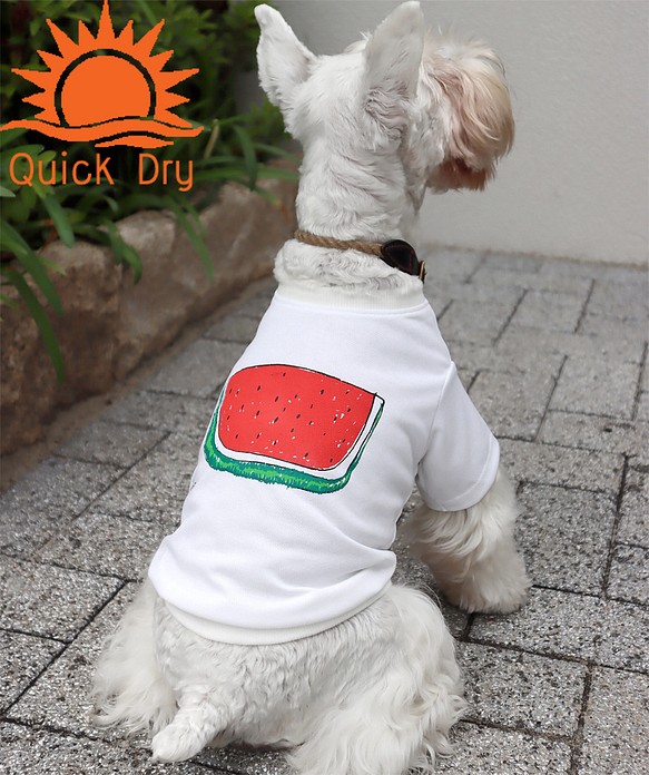 夏用♫ わんちゃん用すいかDRY 袖なしシャツ White 犬 DOG わんこ 接触冷感　熱中症対策 1枚目の画像
