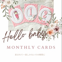 Baby monthly cards 1枚目の画像