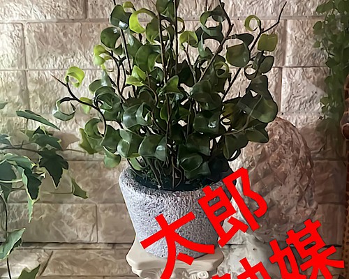 光触媒 人工観葉植物 ウォールグリーン フェイク フラワー