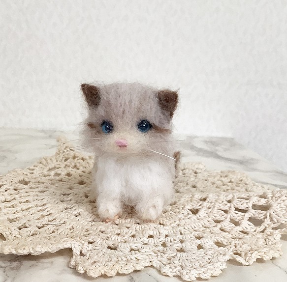小さなラグドールの子猫＊羊毛フェルト