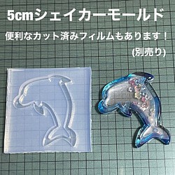 イルカ5cm【シェイカーモールド型】 樹脂・レジン モールド工房むむ