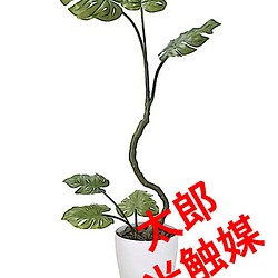 光触媒 人工観葉植物 ウォールグリーン フェイク フラワー 欅ケヤキ180