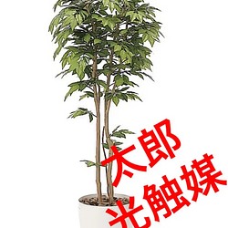 光触媒 人工観葉植物 ウォールグリーン フェイクグリーン 欅ケヤキ180-