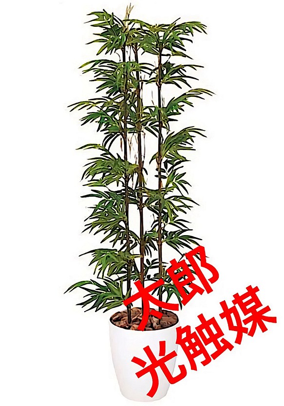 光触媒　人工観葉植物　ウォールグリーン　フェイクグリーン　組立て式バンブー黒竹