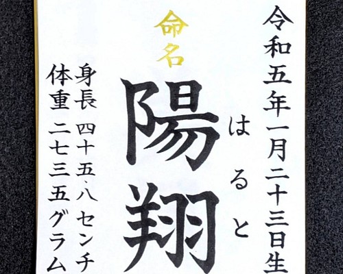 命名書 手書き オーダー ミニ色紙サイズ 雑貨・その他 筆耕屋 陽華