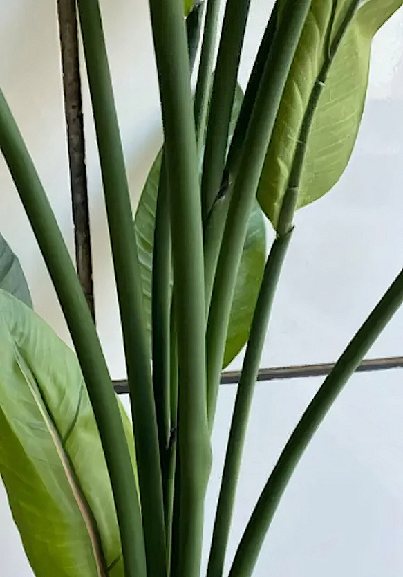 光触媒 人工観葉植物 ウォールグリーン フェイクグリーン ストレチア