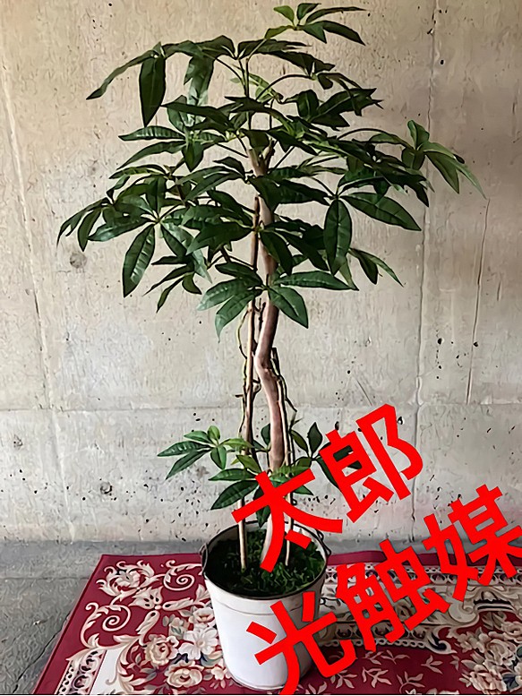 100%正規品 光触媒 人工観葉植物 ウォールグリーン フェイク フラワー