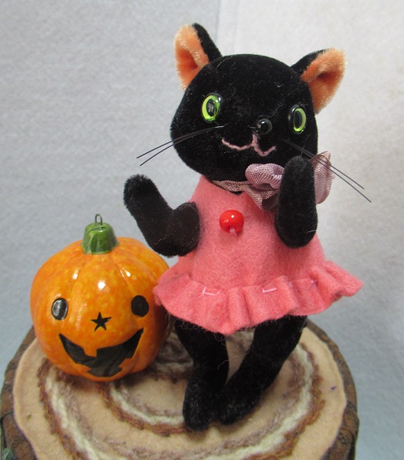 ピンクのドレスの黒猫 1枚目の画像