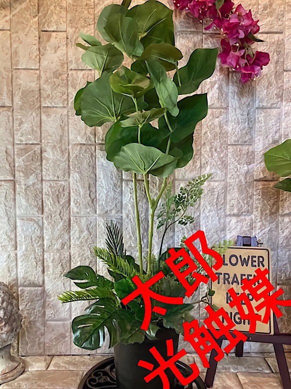 光触媒 人工観葉植物 ウォールグリーン フェイクグリーン シーグレープ