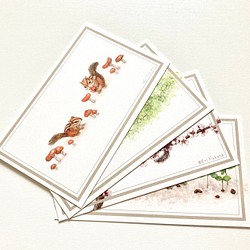 リスのミニメッセージカード Bセット 1枚目の画像