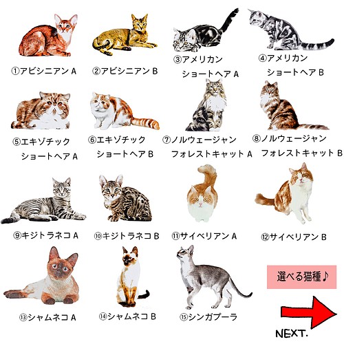 35猫種 から選べる 猫 の おしゃれ オリジナル イラスト タオル ハンカチ あなたの推しネコ見つかる 小物 ファッション雑貨 キジトラネコ レオの店 通販 Creema クリーマ ハンドメイド 手作り クラフト作品の販売サイト