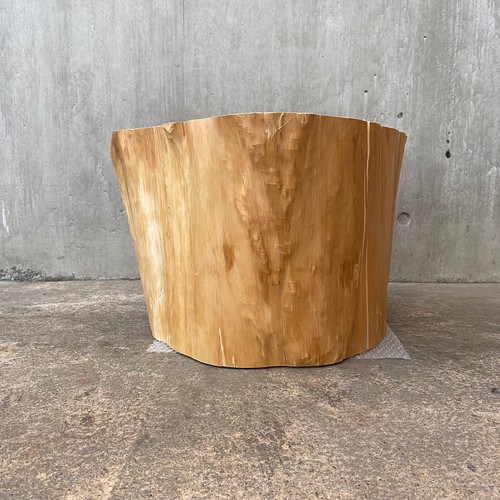 杉の切り株の造形的置物 丸太 椅子 スツール -2(台形) オブジェ 