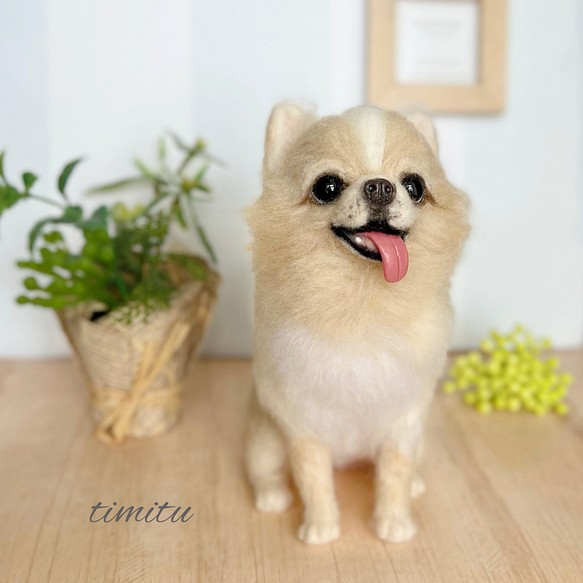 ◇こちらはサンプル画像になります◇羊毛フェルト♡ 愛犬 オーダー