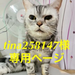 ◇ オーダー ◇ 羊毛フェルト ウチ猫さん似 .☆.｡.:*・° 羊毛フェルト