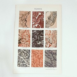 大理石の模様 イラスト 図版 ヘルダー大百科事典 ビンテージ 1956-13 1枚目の画像