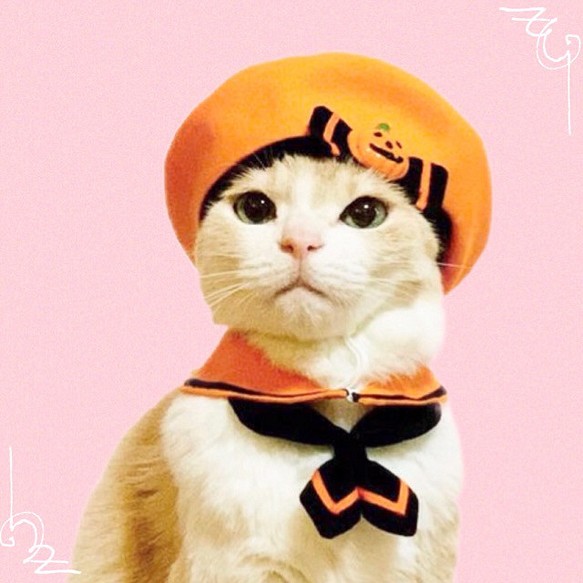 送料無料☆彡《受注製作》ハロウィンセーラー♡セーラー服風〜猫の首輪 1枚目の画像