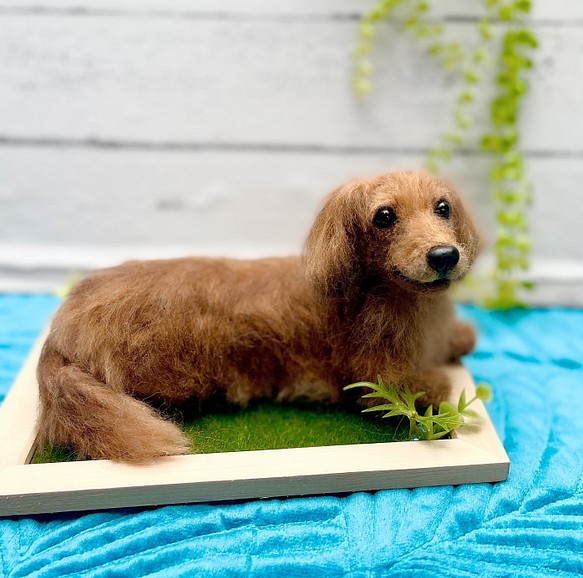 世界でたったひとつ♡うちの子をずっとそばに♡羊毛フェルト♡ダックス