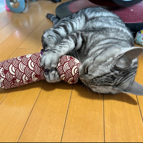 にゃん和柄 巻物けりぐるみ けりけりキッカー 猫のおもちゃ 長野県産またたびの実入り おもちゃ ペット小物 Cete52 通販 Creema クリーマ ハンドメイド 手作り クラフト作品の販売サイト