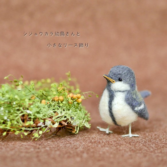 シジュウカラ幼鳥さんと、小さなリース飾り〜..:* ドライフラワー m's