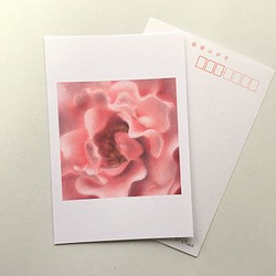 １８１　選べるポストカード　パステルローズ⑨　5枚セット 1枚目の画像