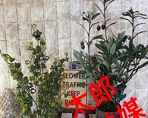 光触媒 人工観葉植物 ウォールグリーン フェイク フラワー oオリーブと