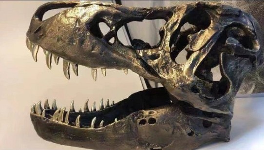 ティラノサウルス 竜頭 珍品 青銅製 49cm