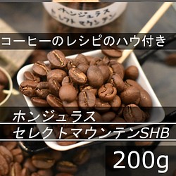 【コーヒー教材プレゼント付・送料無料】中深煎り　ホンジュラス セレクトマウンテンSHG　200g　コーヒー豆　珈琲豆 1枚目の画像