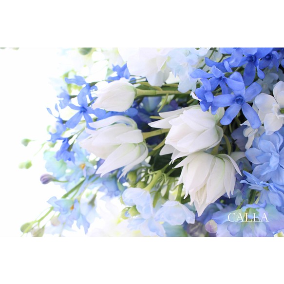 1点物》Delphinium Clutch Bouquet ブートニア付 gstaaddelivery.x10.mx