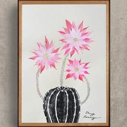 サボテンの花　ピンク　【原画/A3サイズ】　インテリアアート 1枚目の画像
