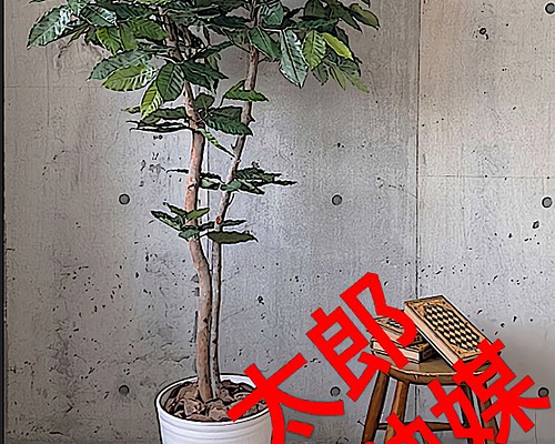 光触媒 人工観葉植物 ウォールグリーン フェイク フラワー コーヒーの