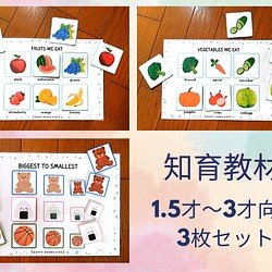 【1.5~3才児対象】果物、野菜、形の大小を理解する知育教材 1枚目の画像