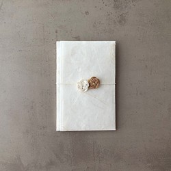 白い和紙のポチ袋 - 雲竜（梅） 1枚目の画像