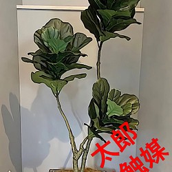 光触媒　人工観葉植物　ウォールグリーン　フェイクグリーン　ウンベラータ1.8p
