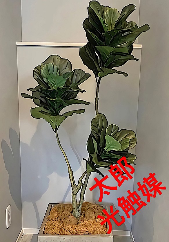 光触媒 人工観葉植物 ウォールグリーン フェイクグリーン カシワバゴム180-
