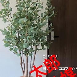 光触媒 人工観葉植物 ウォールグリーン フェイク フラワー ユーカリ160