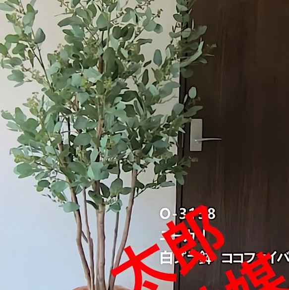 速達メール便 光触媒 人工観葉植物 ウォールグリーン フェイク ...