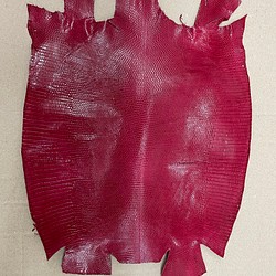 リザード　トカゲ 革 　希少色　24センチ　エキゾチックレザーc-11 1枚目の画像