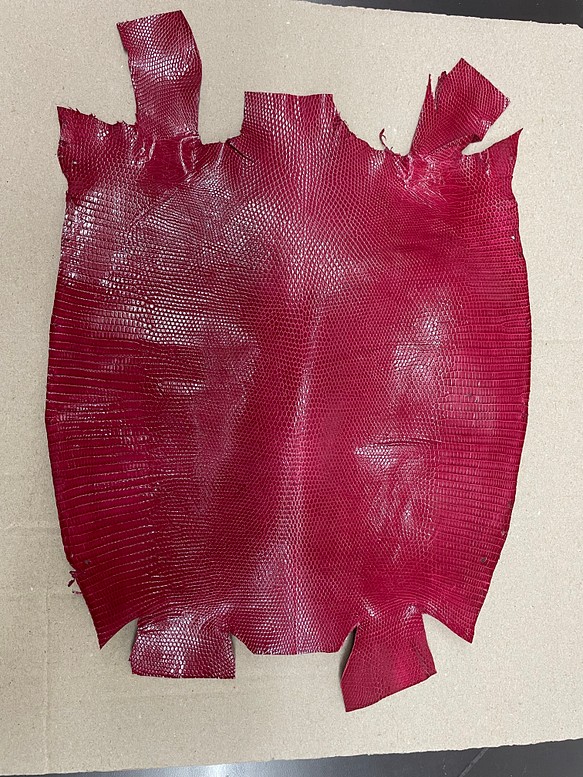 リザード　トカゲ 革 　希少色　24センチ　エキゾチックレザーc-11 1枚目の画像