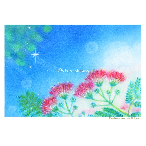 【選べるポストカード5枚セット】No.205 青空とねむの花 1枚目の画像