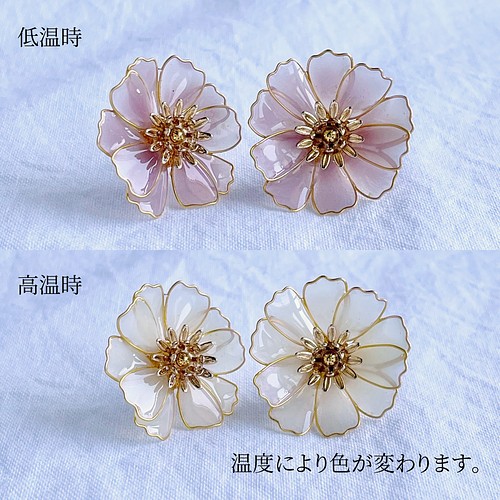 色が変わるコスモスのイヤリング ピアス くすみカラー 大ぶりで華やか 大人可愛い秋の花 オーロラの煌めき 秋コーデ ピアス Hanilu S Gallery 通販 Creema クリーマ ハンドメイド 手作り クラフト作品の販売サイト