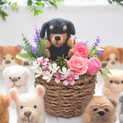 【犬種選べる】ピンク系 プリザーブドフラワー 羊毛フェルト 犬 花 ダックスフンド ペット 置物 1枚目の画像