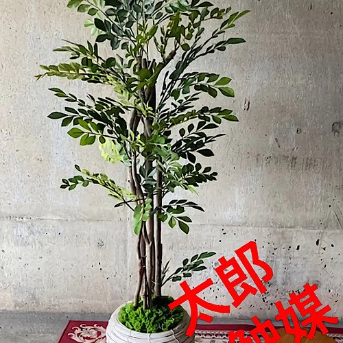 光触媒　人工観葉植物　ウォールグリーン　フェイク　フラワー　トネリコ125